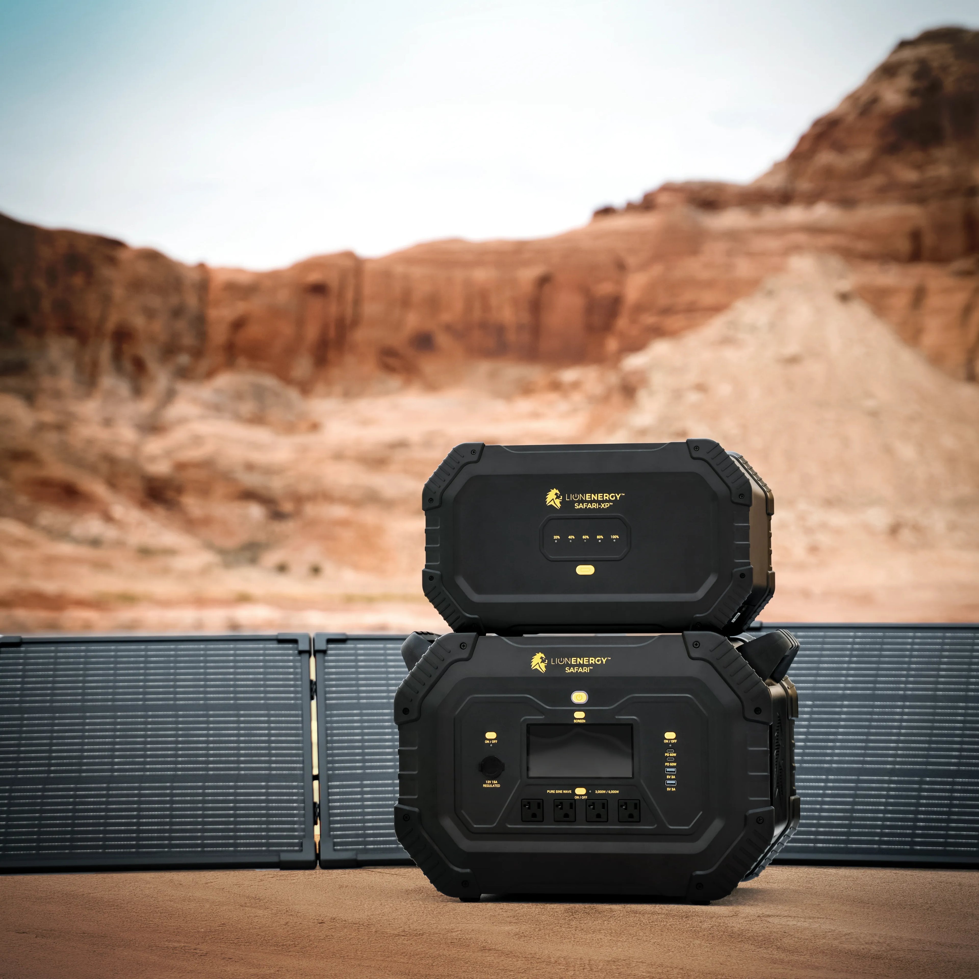 Lion Energy Safari Generator